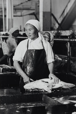 Worker at the Fish Factory