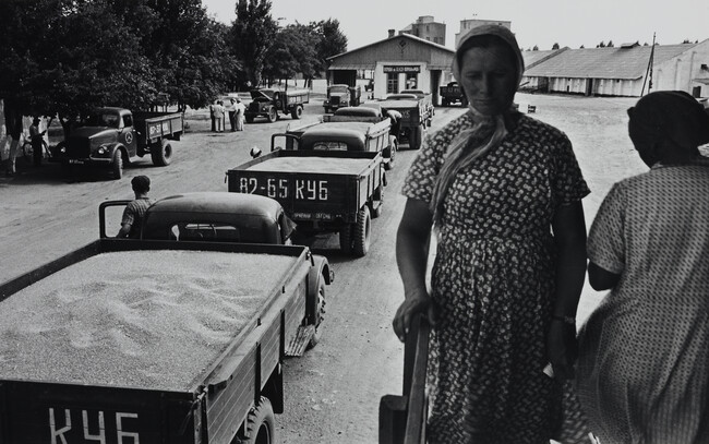 Woman Walking Past Grain Trucks, Kuban Collective Farm, Krasnodarsky Territory