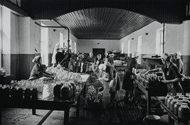 Inside the Canning Factory