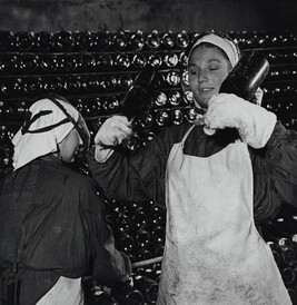 Champagne Worker on the Collective Farm Abrau-Dyurso in the Crimea, the Ukraine