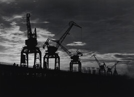 Cranes at sunset, Tsimlynsky Hydroelectric Plant