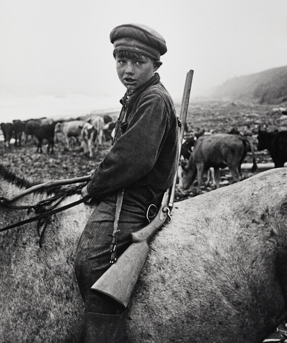 Youth Cattleherder with Rifle