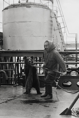 Trained Bear on the Shipdeck