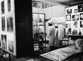 Anatomy Laboratory, People's Friendship University, Moscow (right panel of panorama)