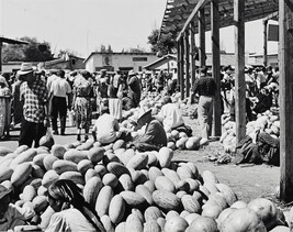 Watermelon Market, Samarkand, Uzbekistan (left panel of panorama)