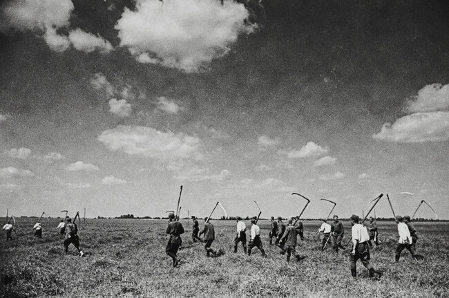 Soldiers assist with the harvest