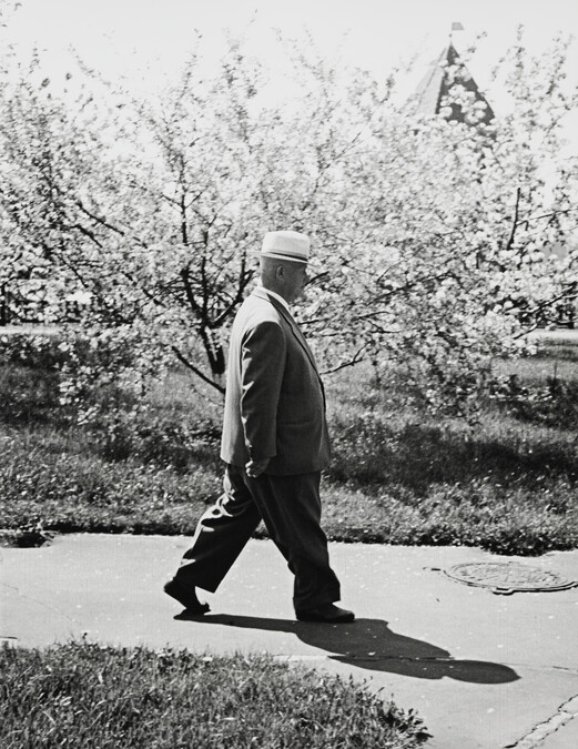 Khrushchev takes a Walk