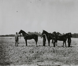 Unidentified Men and Three Horses