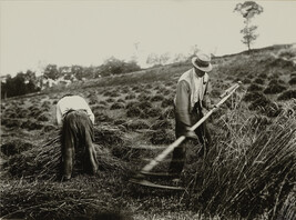 Faucheurs (Harvesters), Somme, number 18 of 20, from an untitled portfolio