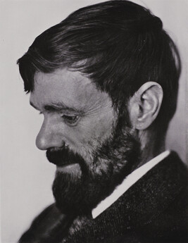 D. H. Lawrence, number 20, from the book, The Art of Edward Weston