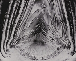 Artichoke Halved, number 26, from the book, The Art of Edward Weston