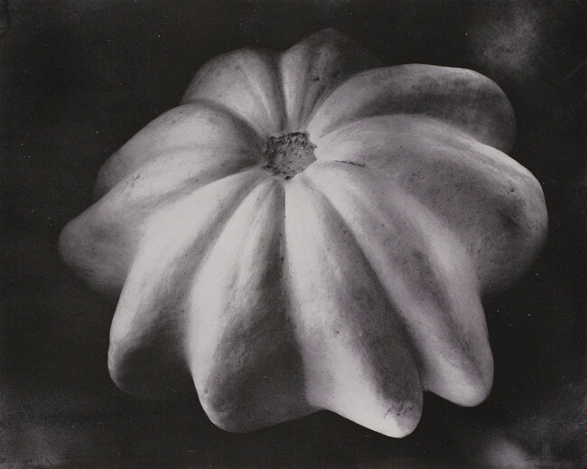 Squash, number 27, from the book, The Art of Edward Weston