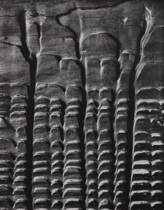 Eroded Plank from Barley Sifter, number 3, from the book, The Art of Edward Weston