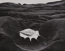 Shell and Rock, number 32, from the book, The Art of Edward Weston