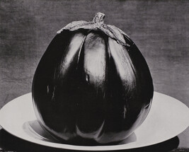 Eggplant, number 33, from the book, The Art of Edward Weston