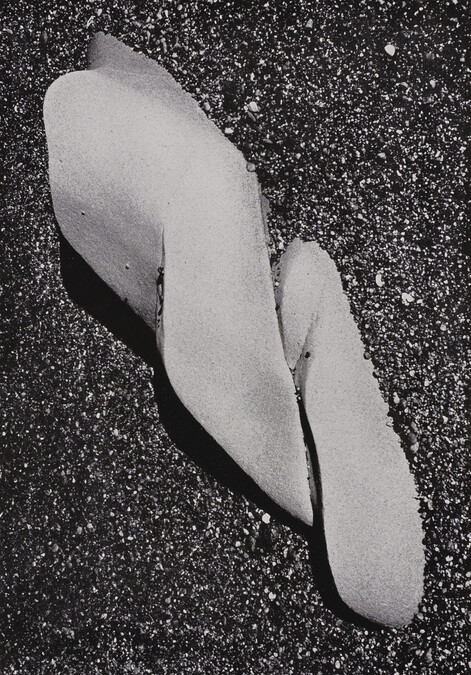 Eroded Rock No. 51, number 36, from the book, The Art of Edward Weston