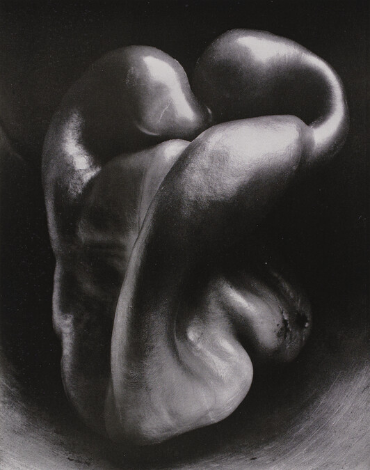 Pepper No. 30, number 5, from the book, The Art of Edward Weston