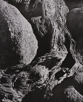 Cypress Root and Rock, number 7, from the book, The Art of Edward Weston
