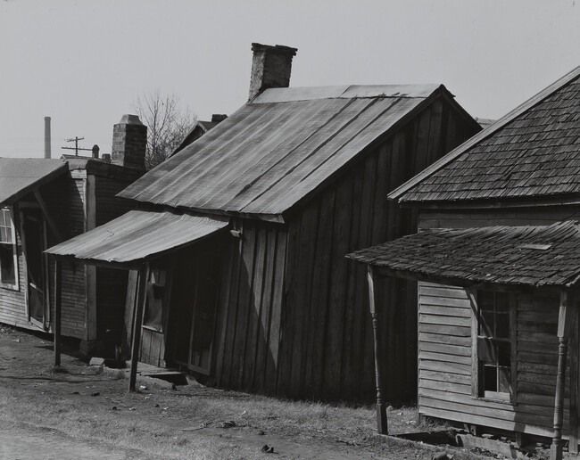 Houses in Negro Quarter, Tupelo, Mississippi