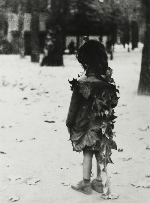 Petite fille aux feuilles mortes (Little girl with dead leaves), Paris, 1947, number 1 of 15, from the portfolio Edouard Boubat