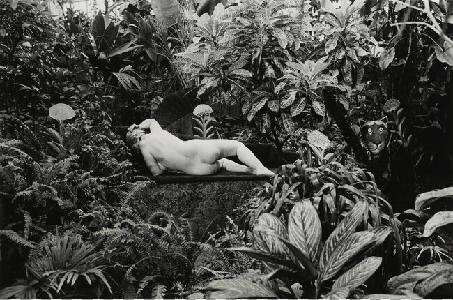 Hommage au Douanier Rousseau (Homage to Douanier Rousseau), Paris, 1980, number 12 of 15, from the portfolio Edouard Boubat