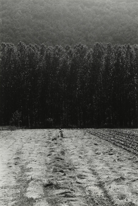 Foins (Hay), Cahors, 1959, number 5 of 15, from the portfolio Edouard Boubat