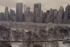 American Winter View of Central Park