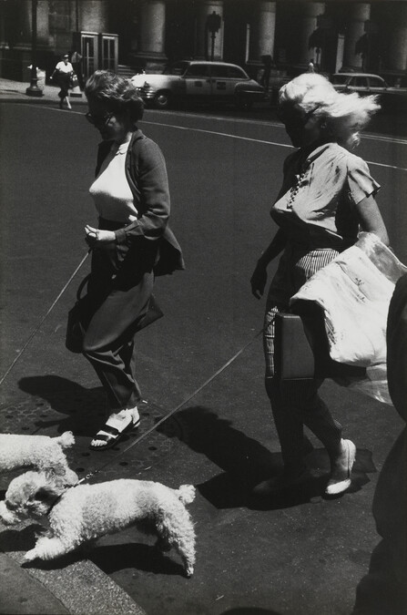 Two Women with Poodles, number 1, from the portfolio Garry Winogrand