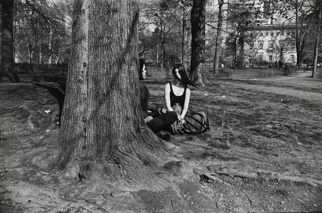 Two Women Under Tree, number 3, from the portfolio Garry Winogrand