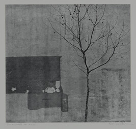 Tree and Wall, Philadelphia