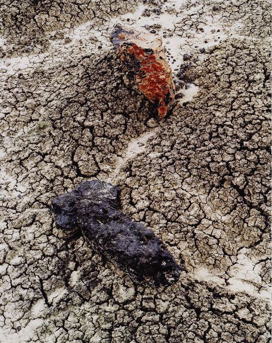 Stones and Cracked Mud, Black Place, New Mexico, June 9, 1977, number 8, from the portfolio Intimate Landscapes