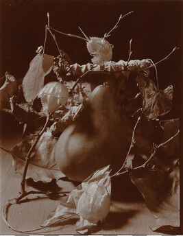 Pear with Horseshoe Crabs and Leaves