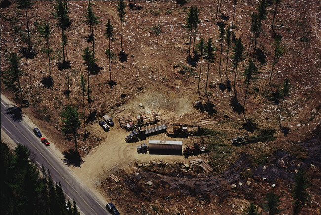 Whitefield, New Hampshire, Clearcut Staging Area