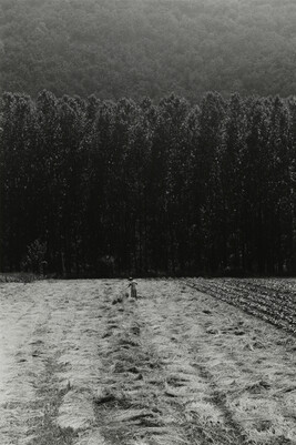 Foins, Cahors (Hay, Cahors), number 5 of 15, from the portfolio Edouard Boubat