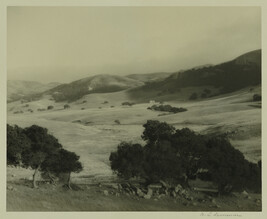 Rolling Hills, California