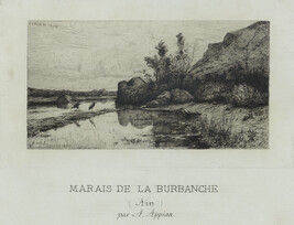 Marais de la Burbanche (Marsh of Burbanche)