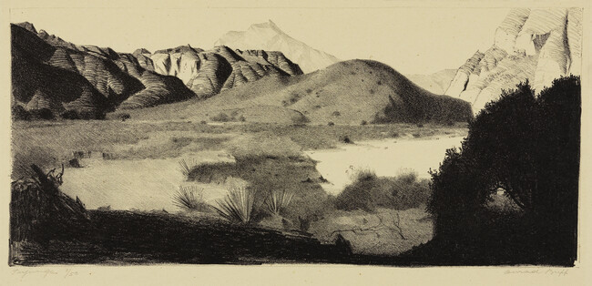 Desert Landscape with Yucca