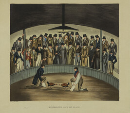 Westminister Cock Pit in 1830