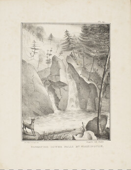 Bashapish Lower Falls, Mt. Washington [sic], plate 14 from the Final Report on the Geology of...
