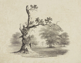 Herne's Oak, from the portfolio Sketches from Nature
