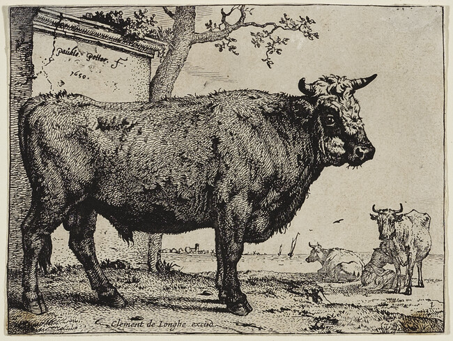 Le Taureau (The Bull)