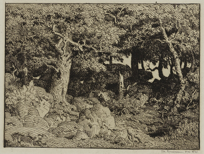 Chênes de Roche (Oak Trees Growing Among Rocks)