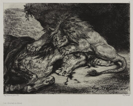 Lion dévorant un cheval (Lion Devouring a Horse)