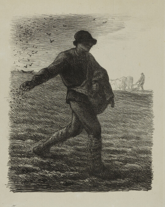 Le Semeur (The Sower)
