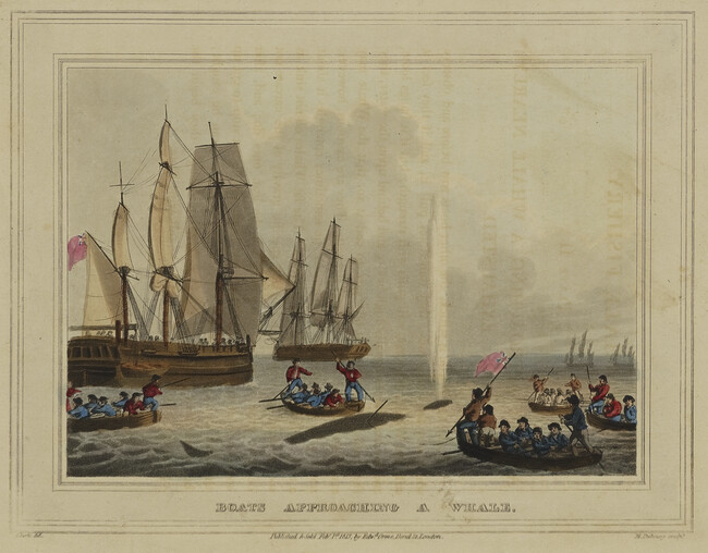Boats Approaching a Whale, plate II of Whale Fishery from Foreign Field Sports, Fisheries, Sporting Anecdotes, etc.
