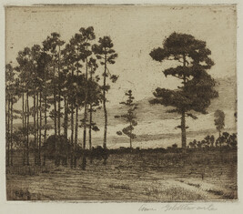 Southern Pines (Alabama Pines)