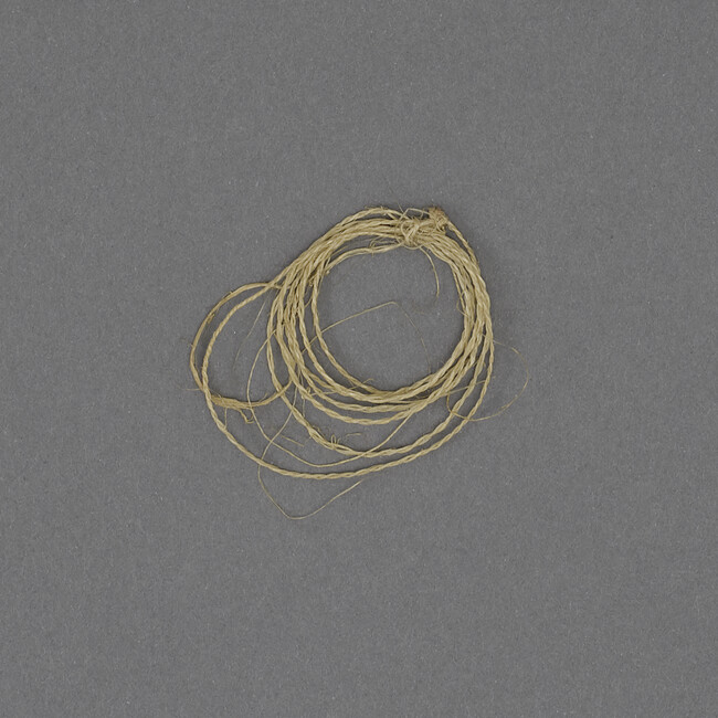 Coil of Sinew