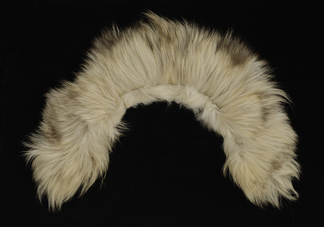 Parka Ruff made from a White Wolf Ruff