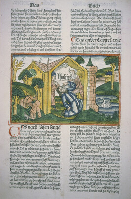 From the Ninth German Bible: Tobit Becomes Blind