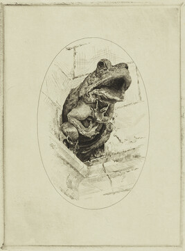 The Frog of the Tour Charles VIII, Amboise (Chas VIII: Gargouille, Tour Charles VIII, Amboise)